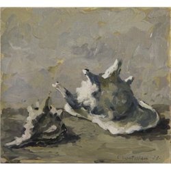 Two shells