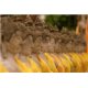 Maurizio Longhin, Paper Printing, Photographic Print Color eighth, Contemporary Art,